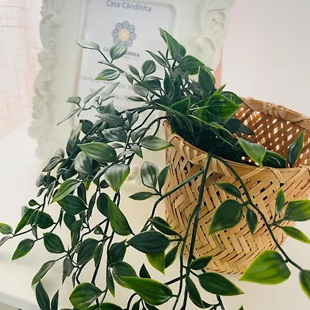 度假居 Casa Candinha