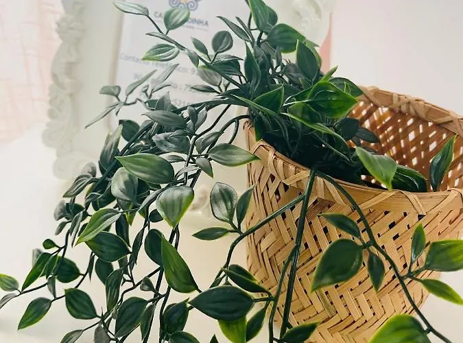 Semesterbostad Casa Candinha